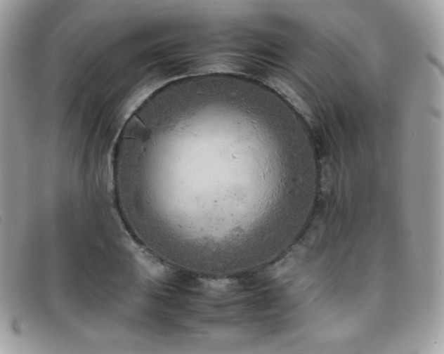 X0000095891031200801111151