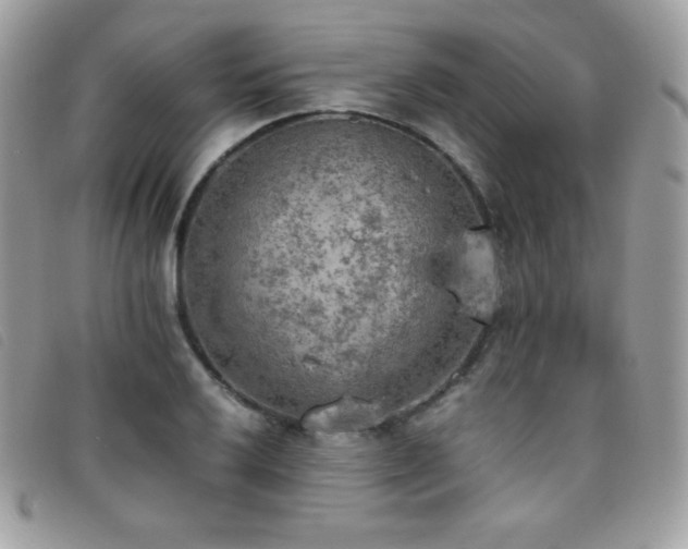 X0000095891032200801111151