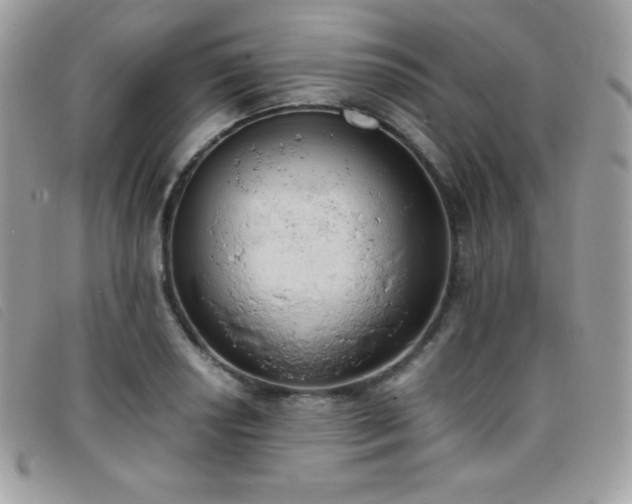 X0000095891034200801111151