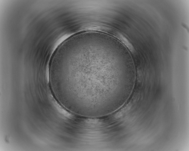 X0000095891036200801111151