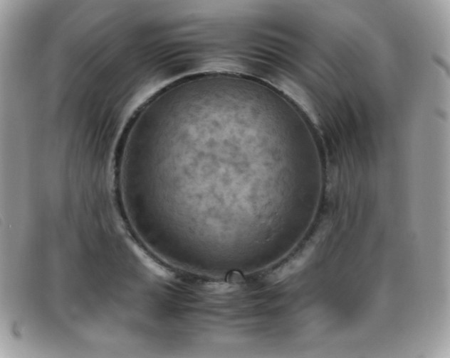 X0000095891037200801111151