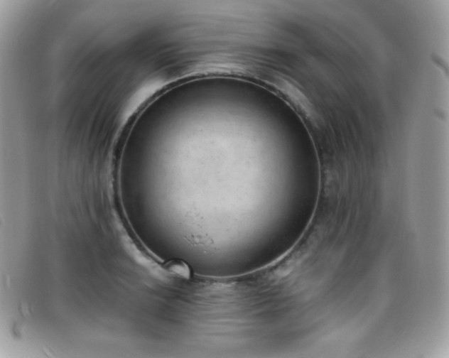 X0000095891038200801111151