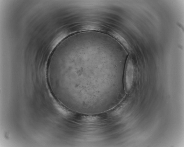 X0000095891039200801111151
