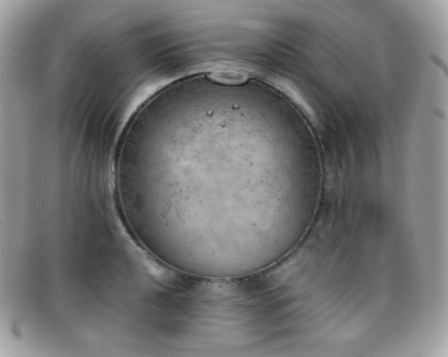 X0000095891040200801111151