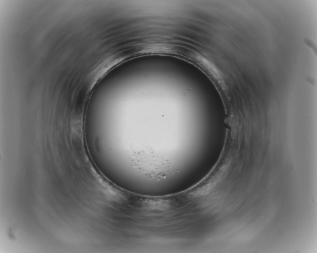 X0000095891041200801111151