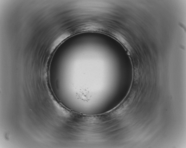 X0000095891042200801111151