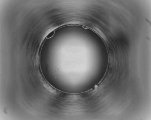 X0000095891044200801111151