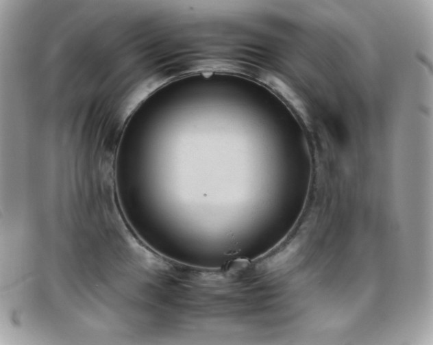 X0000095891049200801111151