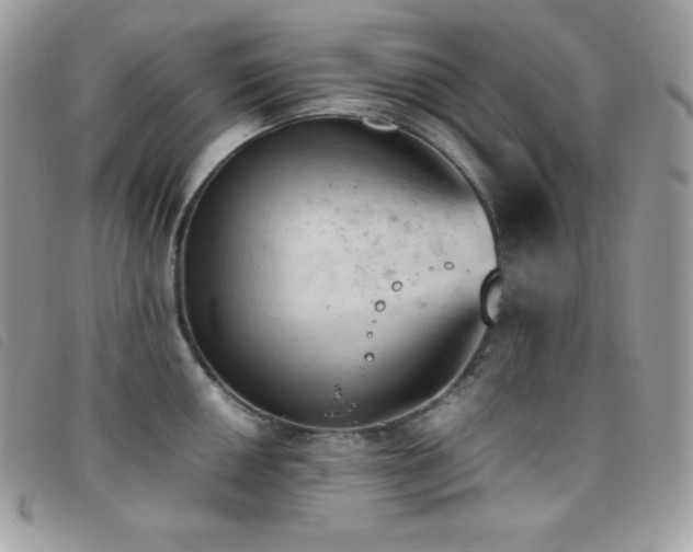 X0000095891050200801111151