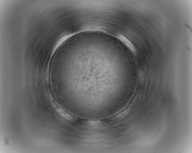 X0000095891052200801111151