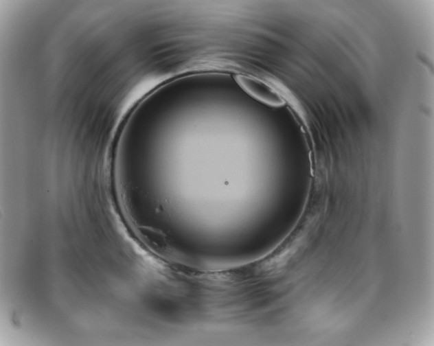 X0000095891053200801111151