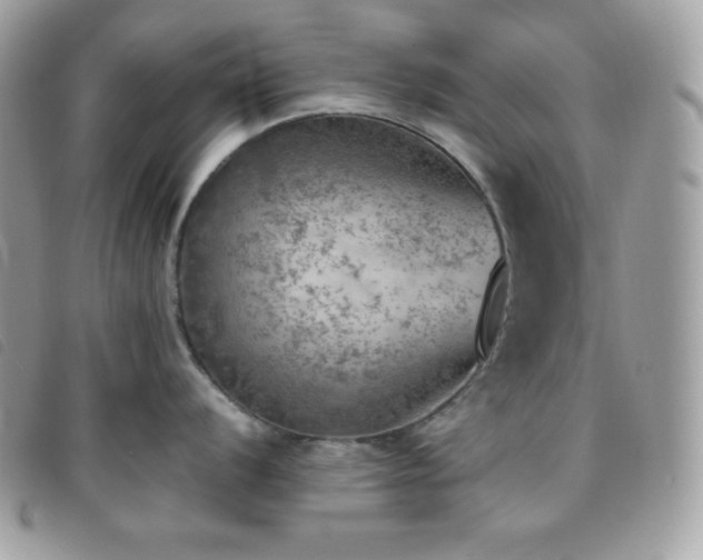 X0000095891056200801111151