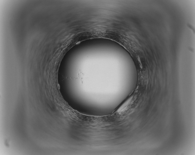 X0000095891057200801111151