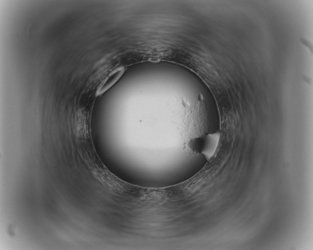 X0000095891058200801111151