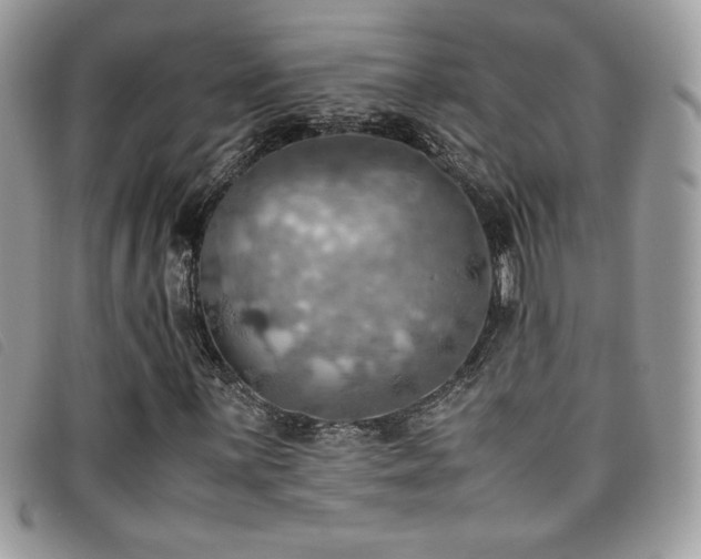 X0000095891059200801111151