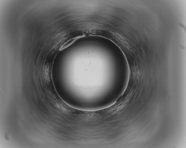 X0000095891060200801111151