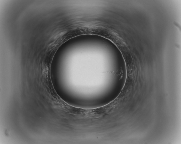 X0000095891061200801111151
