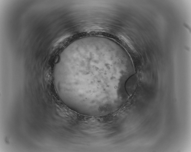 X0000095891063200801111151