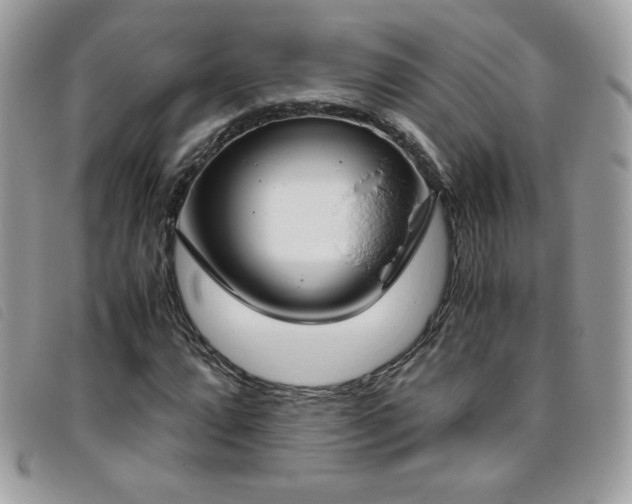 X0000095891064200801111151