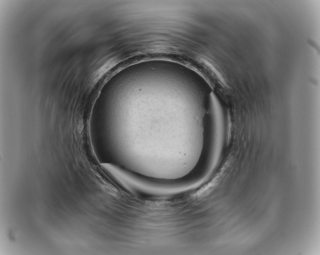 X0000095891065200801111151