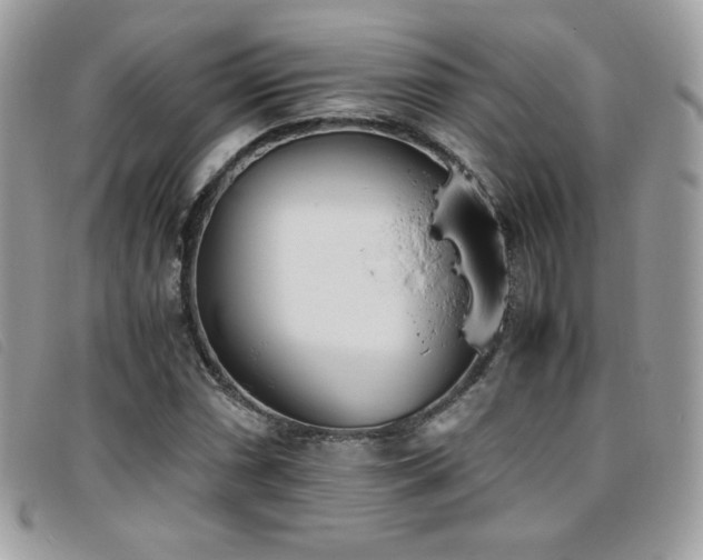 X0000095891066200801111150