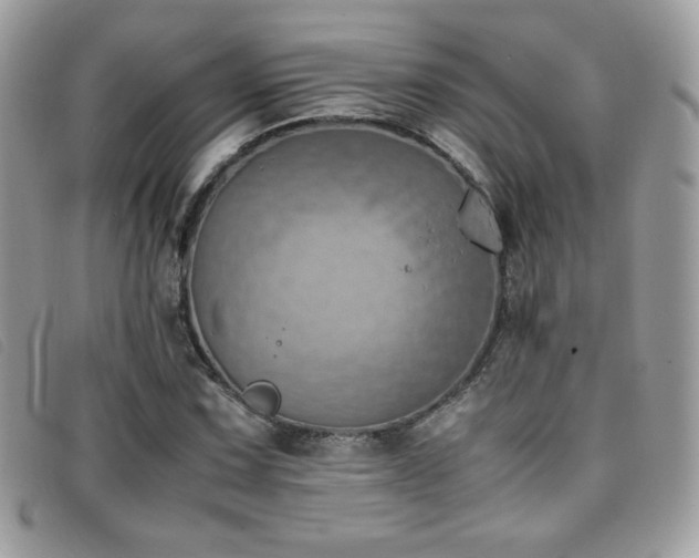 X0000095891067200801111150