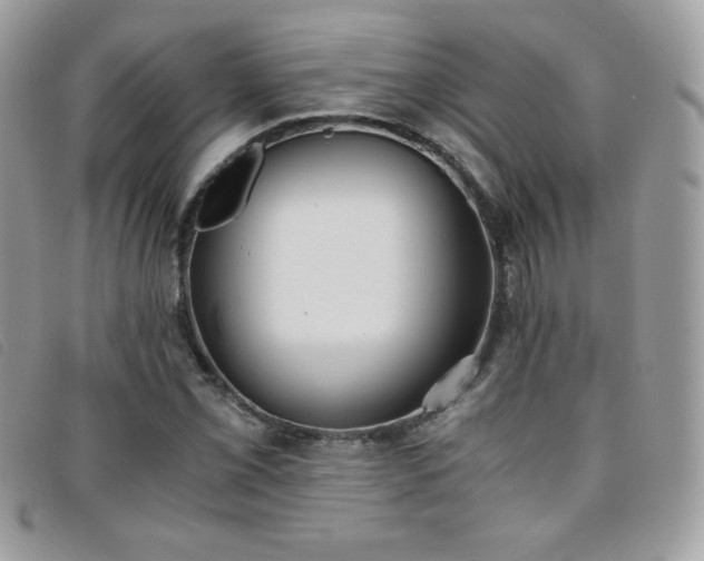 X0000095891069200801111150