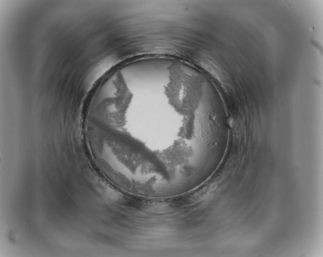 X0000095891071200801111150