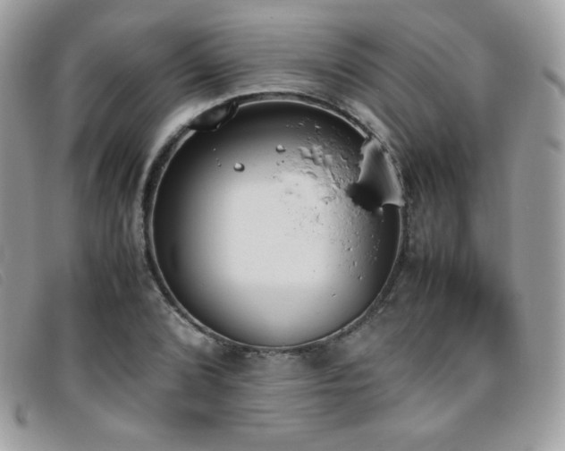 X0000095891072200801111150
