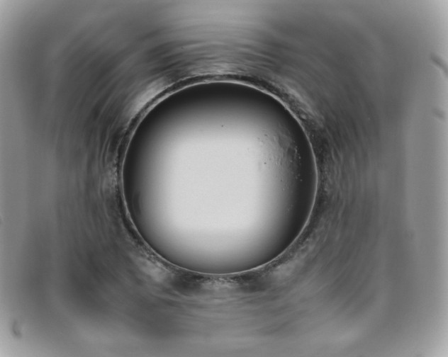 X0000095891073200801111150