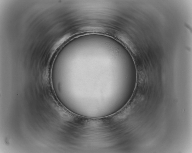 X0000095891074200801111150