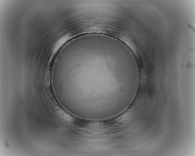 X0000095891075200801111150