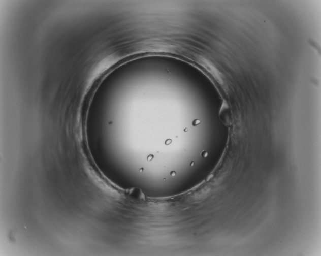X0000095891080200801111150