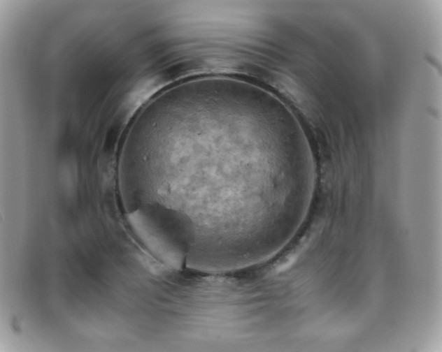 X0000095891081200801111150