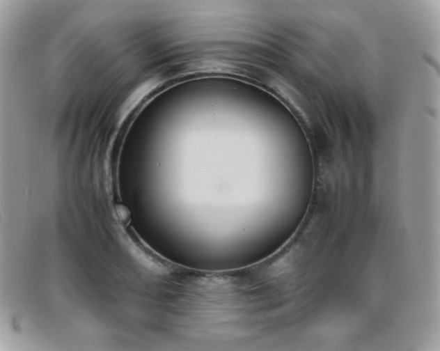 X0000095891082200801111150
