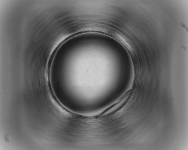 X0000095891084200801111150
