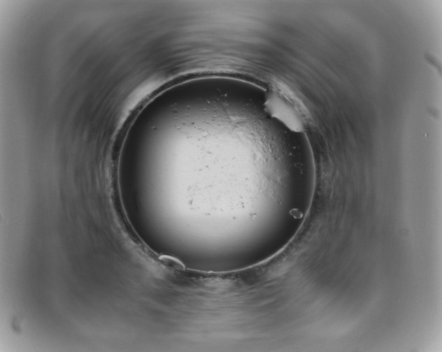 X0000095891085200801111150