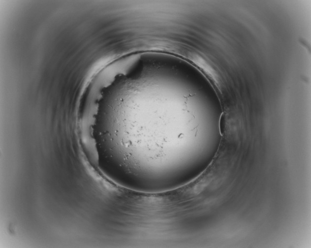 X0000095891088200801111150