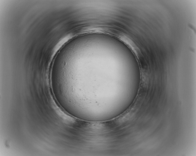 X0000095891090200801111150