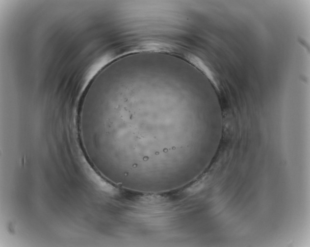 X0000095891091200801111150