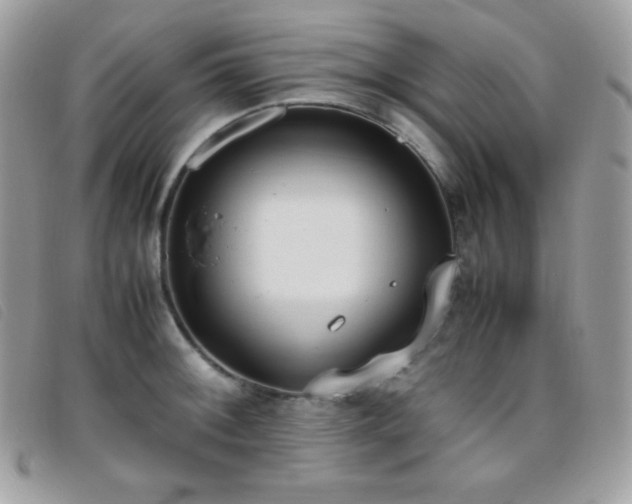 X0000095891092200801111150