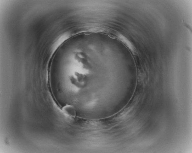 X0000095891095200801111150