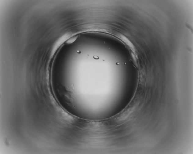 X0000095891096200801111150
