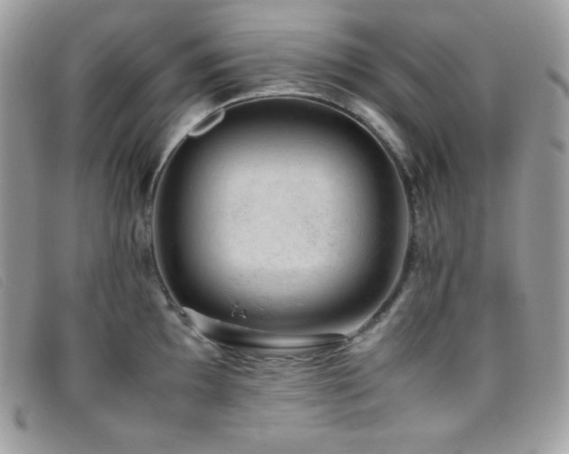 X0000095891097200801111150