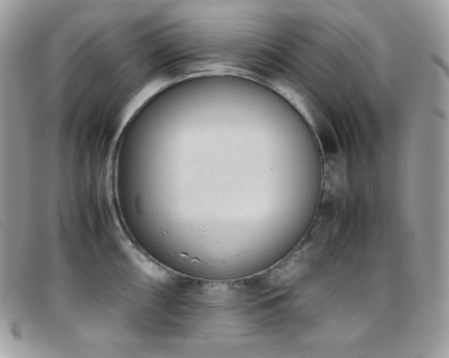 X0000095891098200801111150