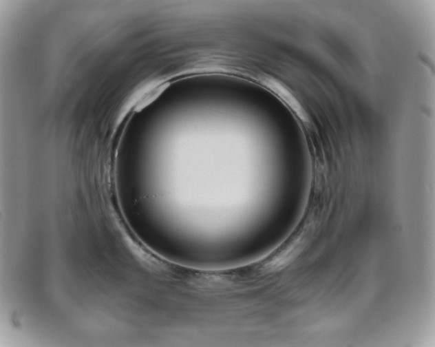 X0000095891101200801111150