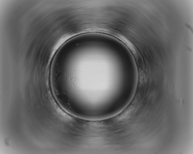 X0000095891102200801111150