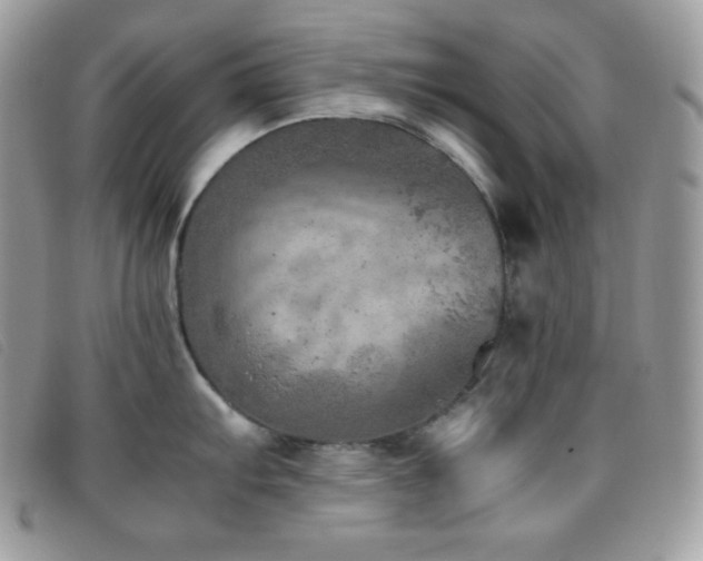 X0000095891103200801111150