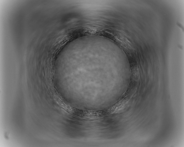 X0000095891105200801111149