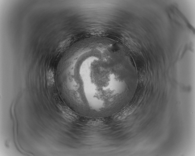 X0000095891106200801111149